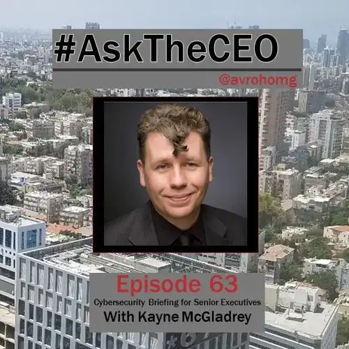 Cybersecurity Briefing for Senior Executives With Kayne McGladrey