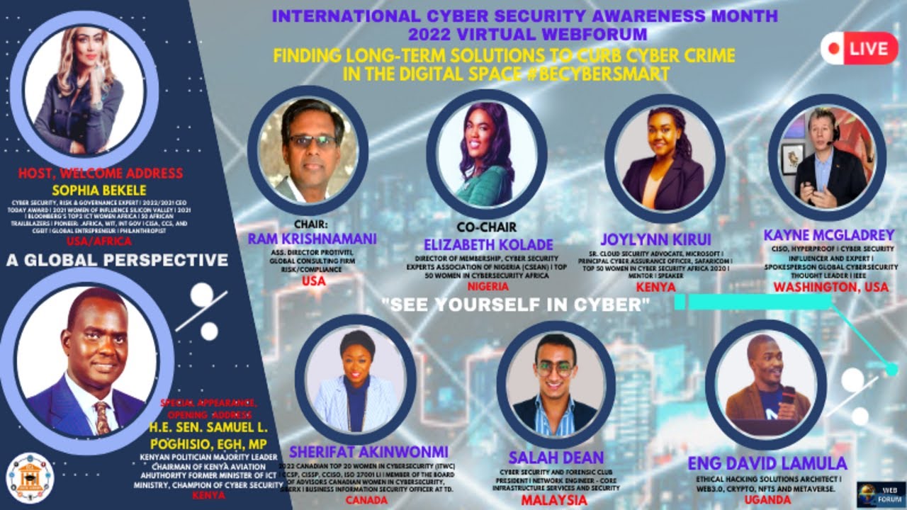 Finding a long-term solution to curb Cybercrimes in the digital sphere: A Global Perspective