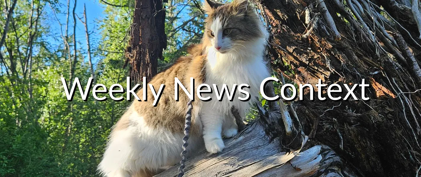 Weekly News Context June 12