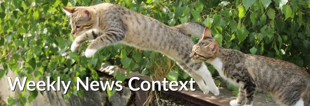 Weekly News Context July 10