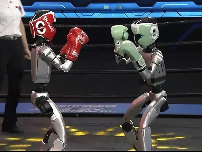 Boxing robots